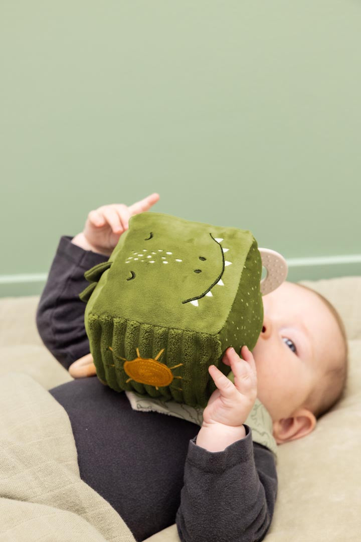 Cube d'activités - M. Dino