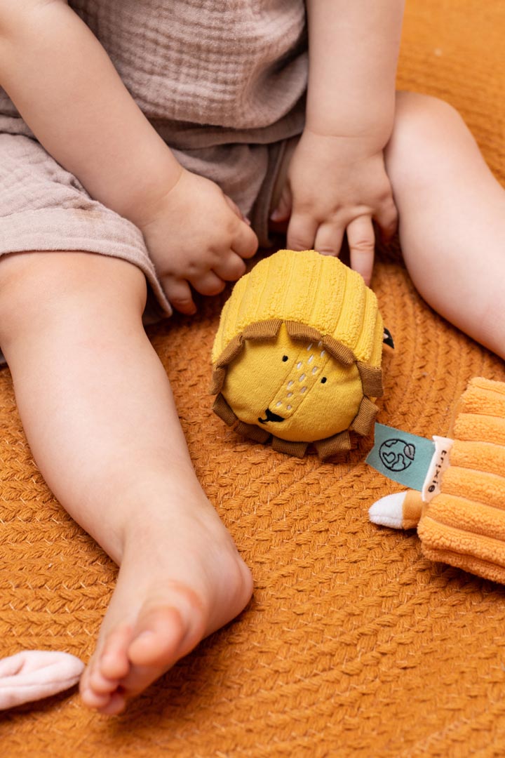 Blocs sensoriels - 4 animaux