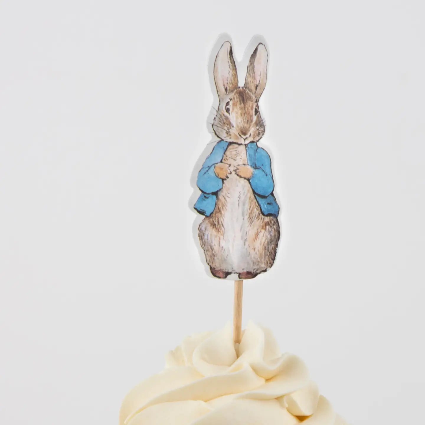Peter Rabbit Garden Cupcake Kit