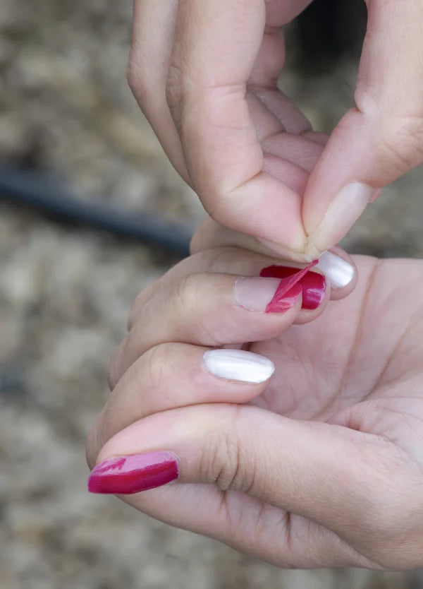 Water-based nail polish- Fuchsia