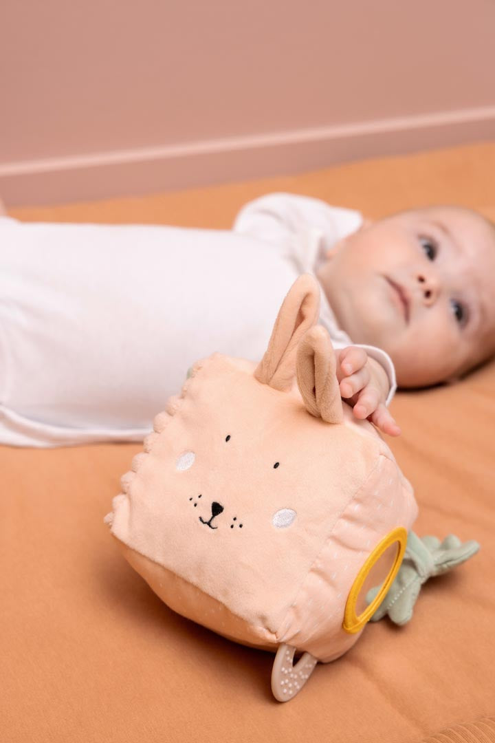 Cube d'activités - Mme Lapin 