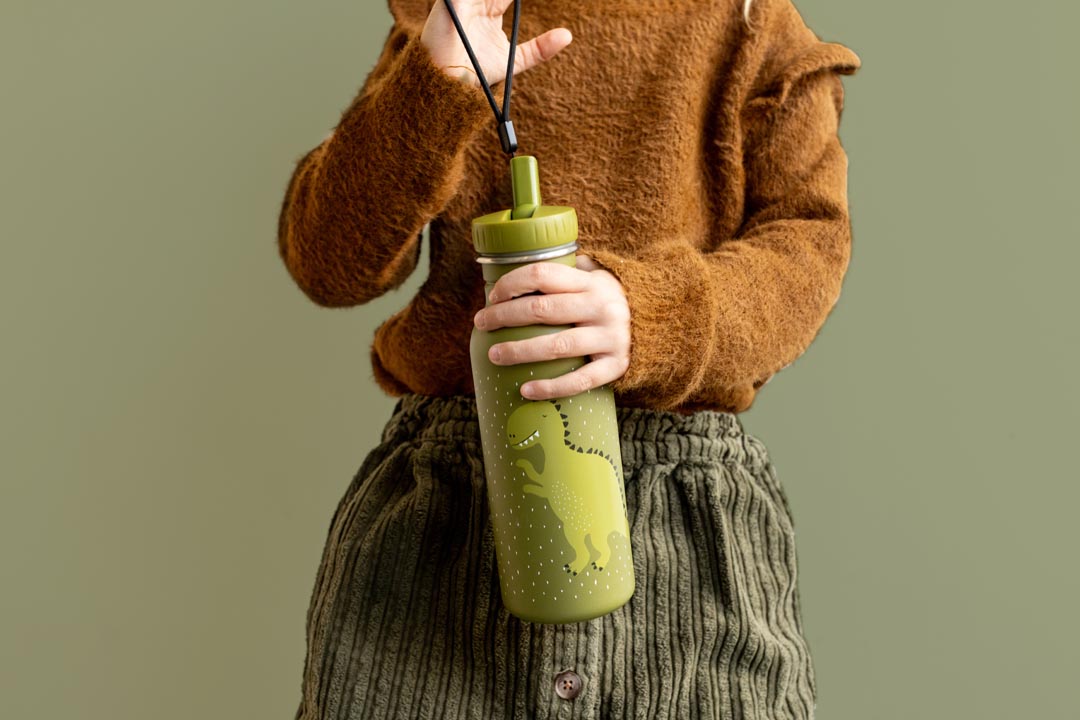 Fles 500ml - Mr. Dino