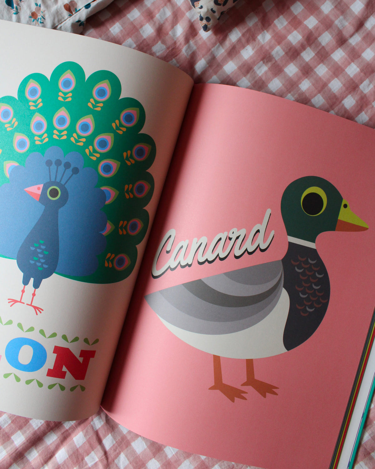 Livre COMPILATION ANIMAUX