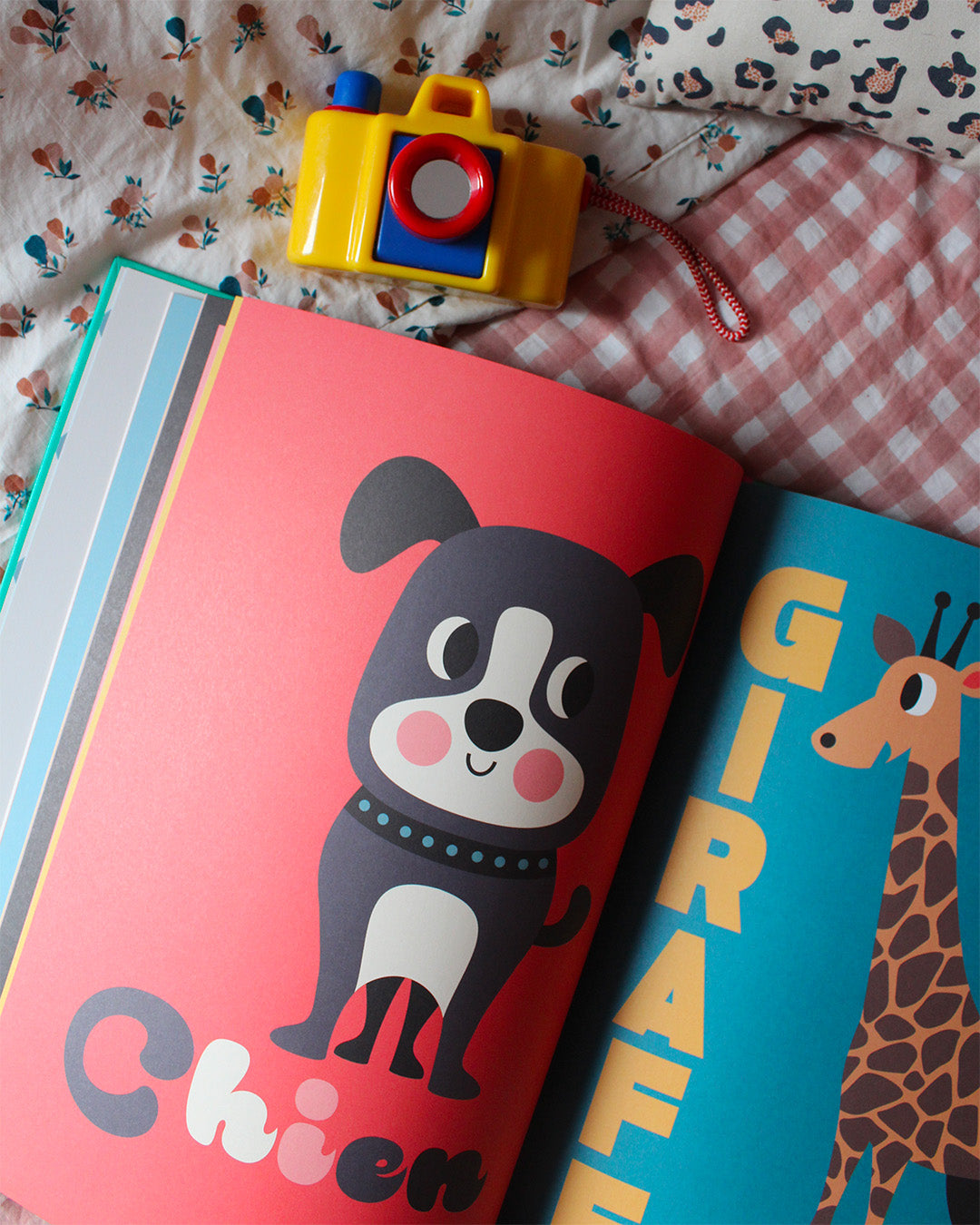 Livre COMPILATION ANIMAUX
