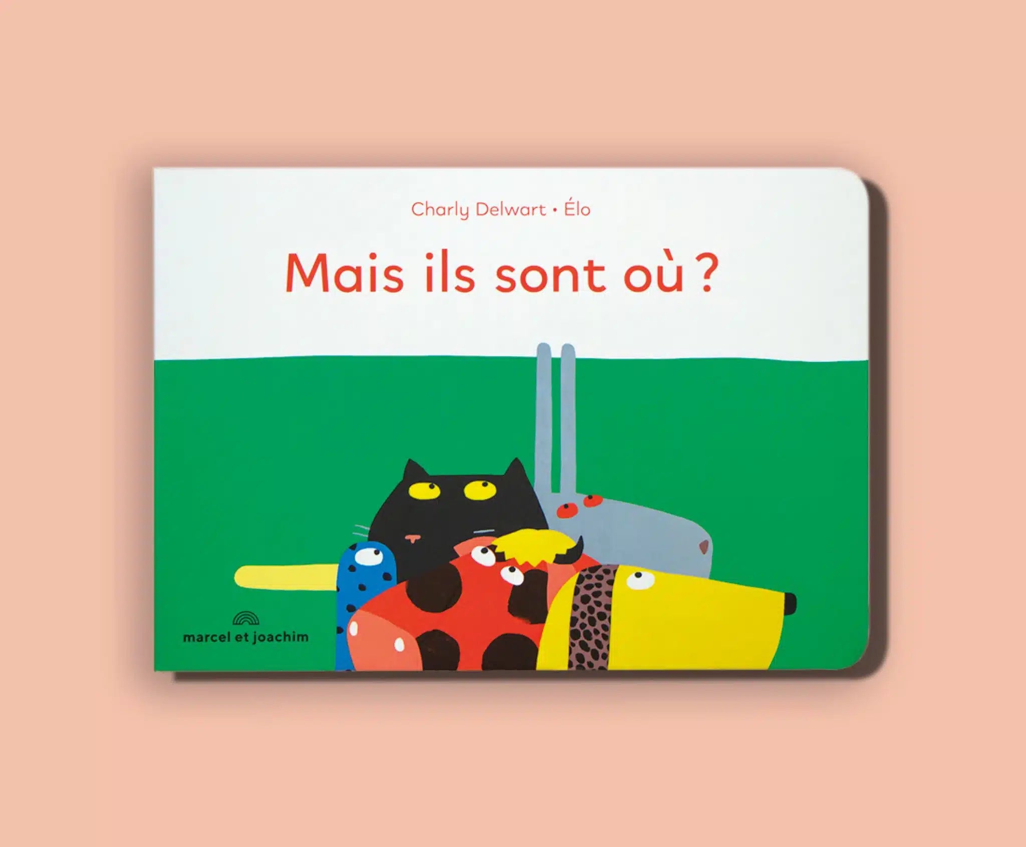Kleuren- en zoekboekje voor de baby - Maar waar zijn ze?