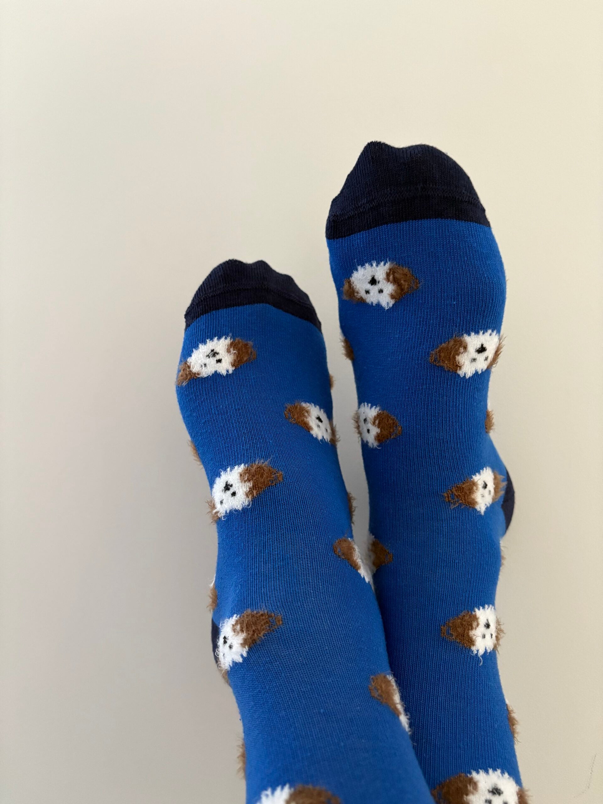 MOSHI BLUE SOCKS
