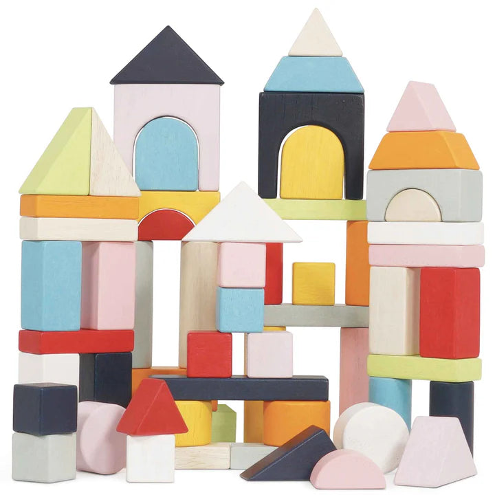 Colourful Wooden Building Blocks