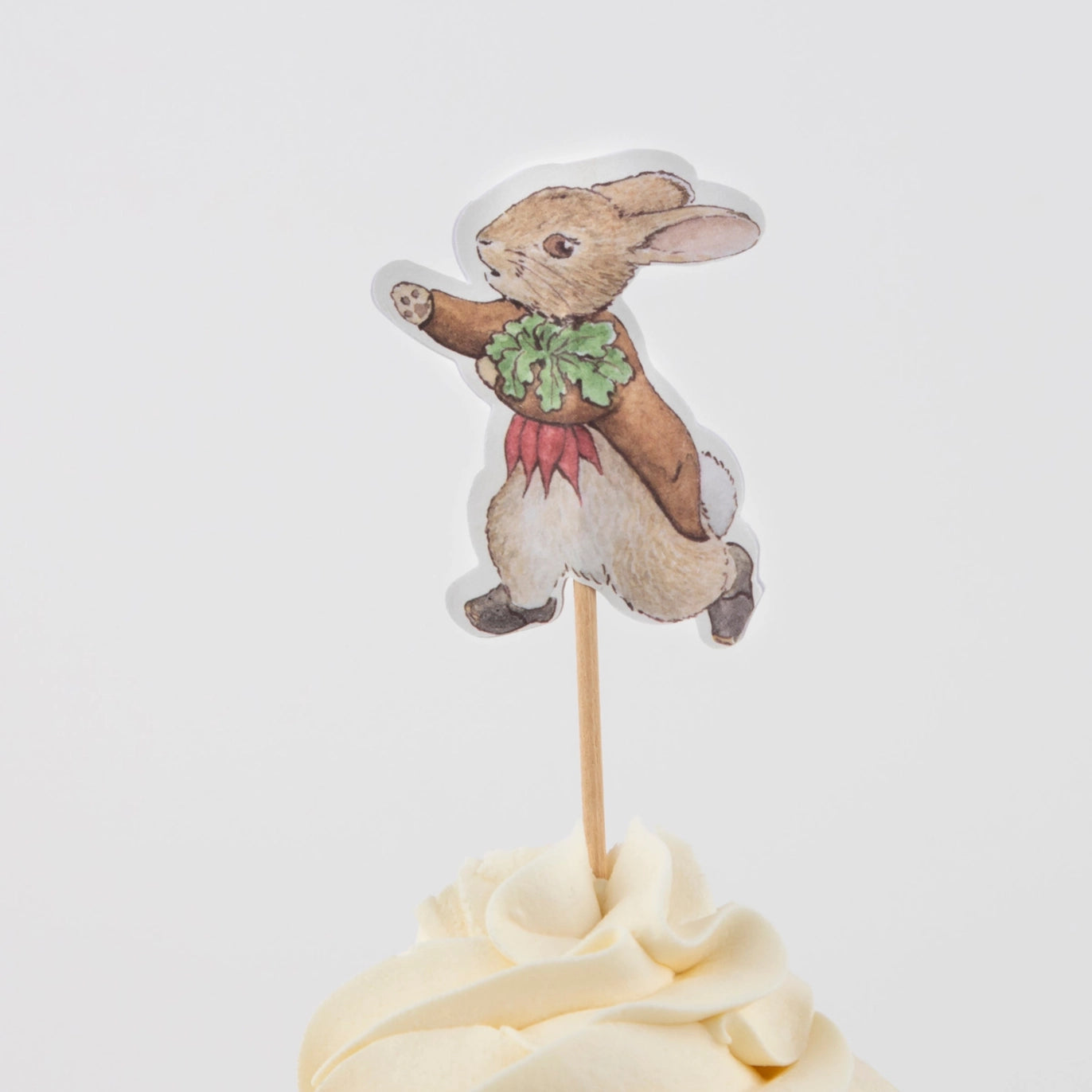Peter Rabbit Garden Cupcake Kit