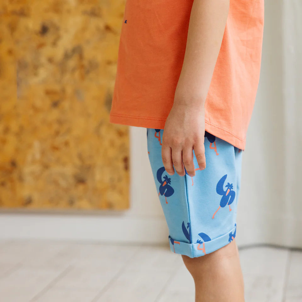 Baggy Shorts Sky Blue