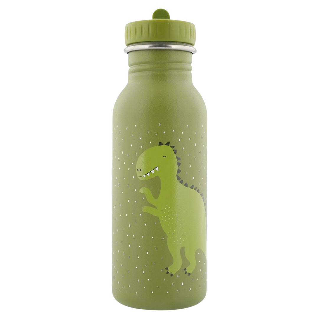 Fles 500ml - Mr. Dino