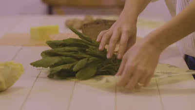 eco-friendly food storage bag