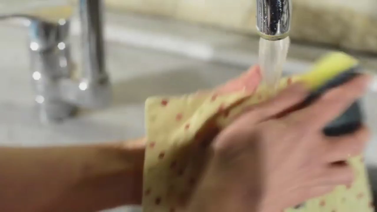 Reusable Beeswax Bag