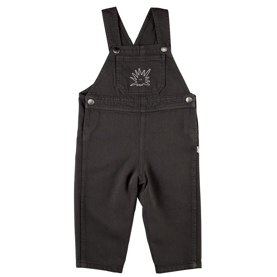 Salopette en toile Yucca - Anthracite